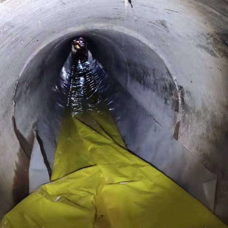 耒阳管道光固化修复